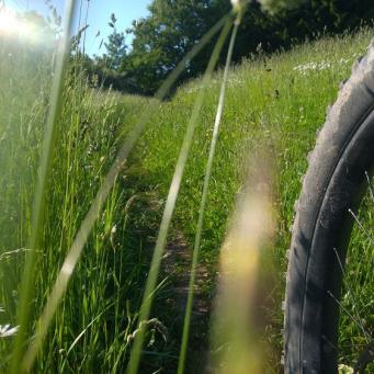 Mountainbiketrail in der Rhön