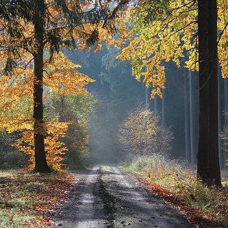 Gravelstrecke in der Rhön