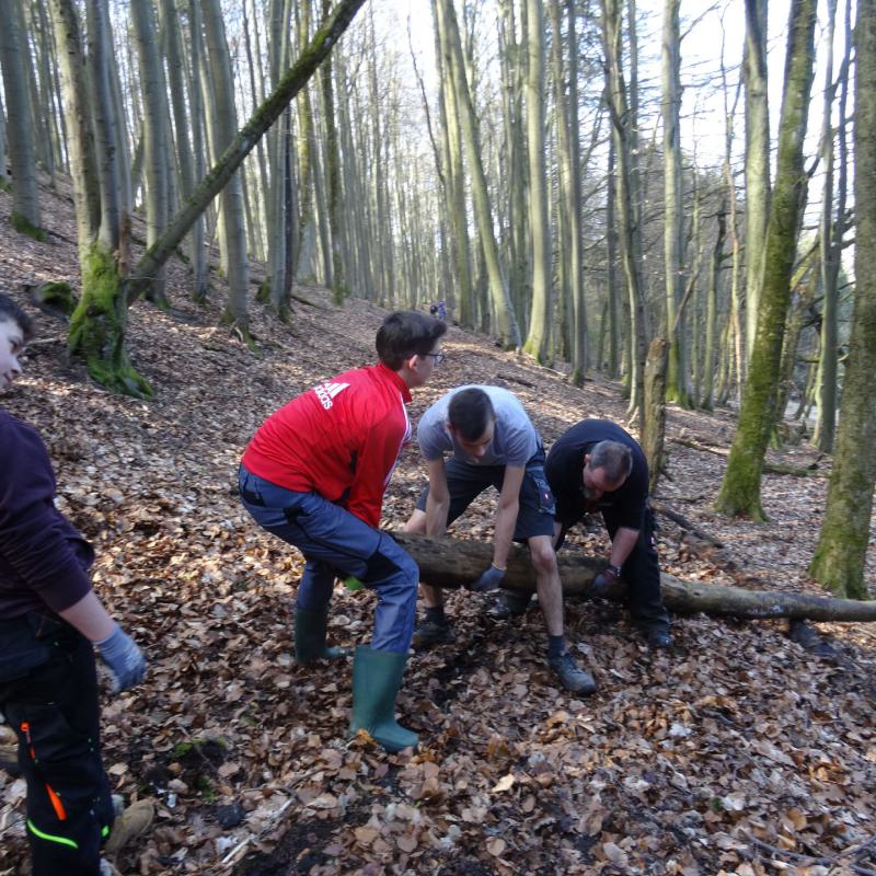 Schüler bauen einen Mountainbiketrail in der Rhön