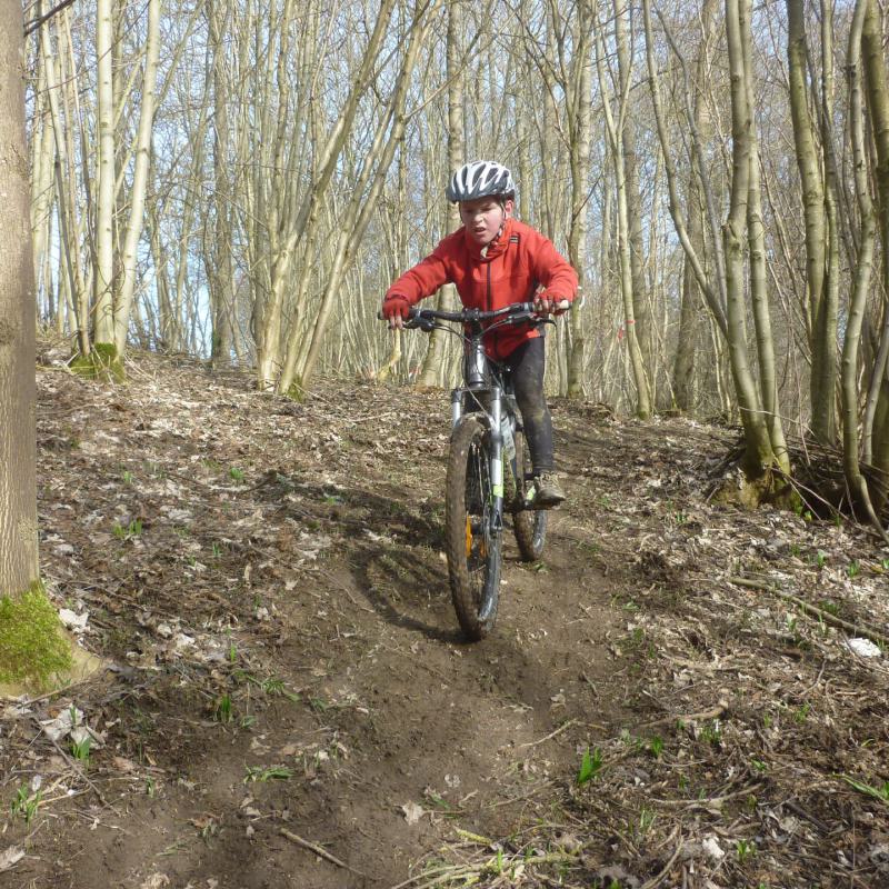 Junge mit Mountainbike im Wald