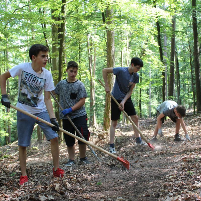 Schüler bauen einen Mountainbiketrail in der Rhön