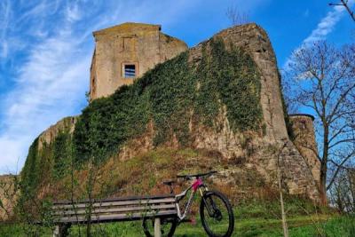 Die Trimburg im Saaletal im Frühjahr