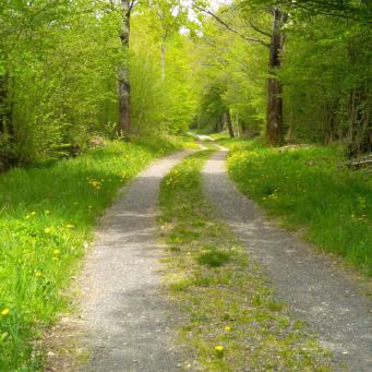 Gravelstrecke Rhön 